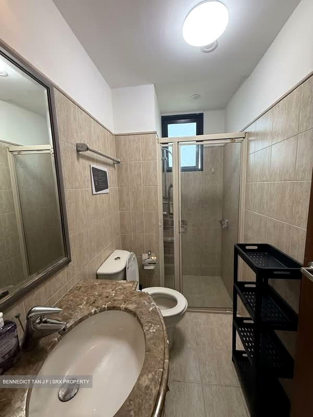 Tanglin View (D3), Condominium #541064501